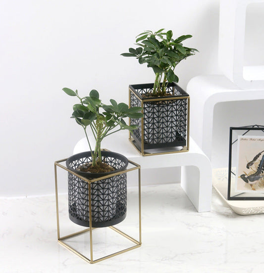 Hollow Metal Plant Stand with Matching Pots – Black Modern Cut-Out Design (2 Sizes)